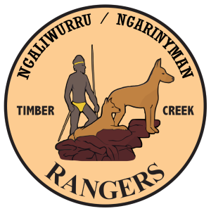 Judbarra/Gregory SFM Project