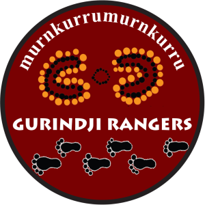 Judbarra/Gregory SFM Project