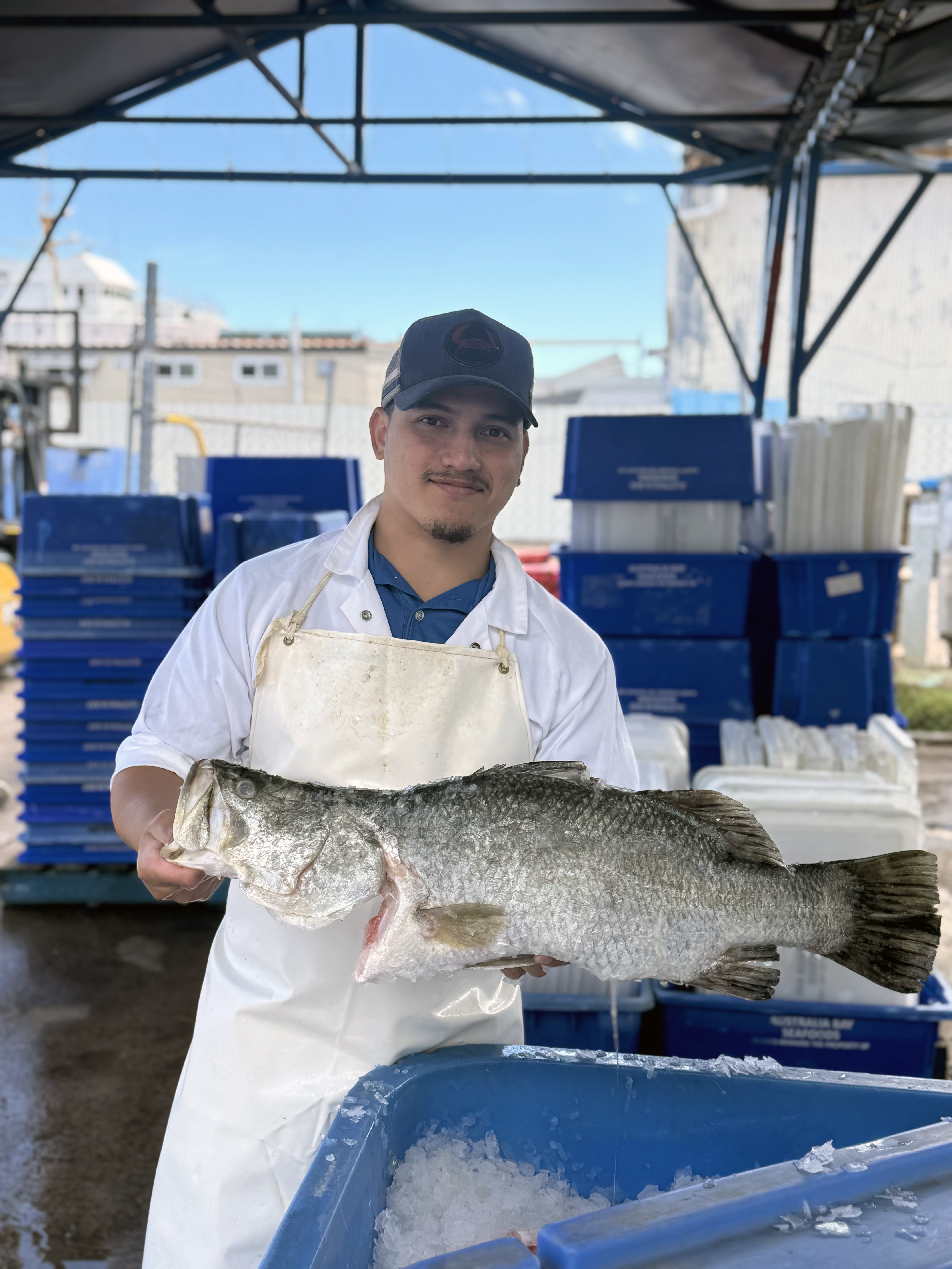 denzel corpus_darwin fish market asc_16