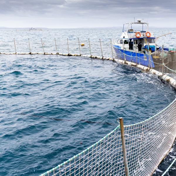 Fishing boat on water with Nets