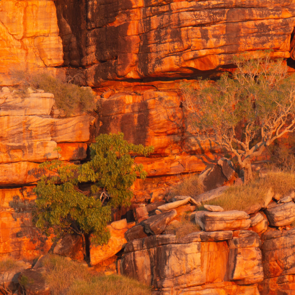 Cliff face at King George River, WA