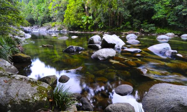 Stream at Mossman Gorge 