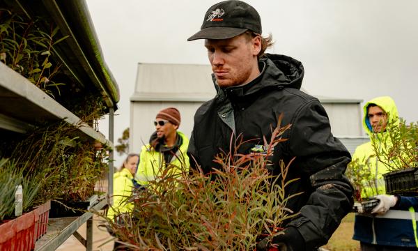 Ranger's organising plants in a nursery 