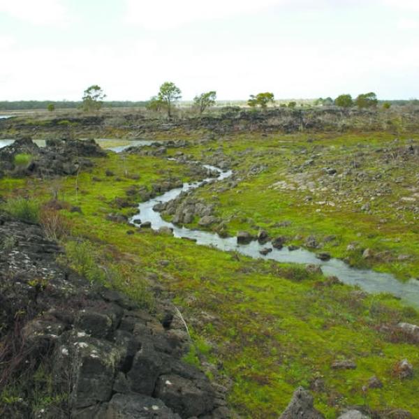 The Gunditjmara People had limited access to their traditional lands, making it hard to care for and protect Country. Parts of the landscape were also separated by different ownership, and the natural water flows—crucial for traditional eel farming—were at risk of being disrupted.