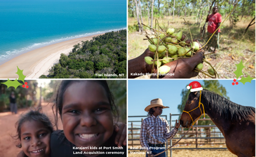 4 panels displaying: beach/produce in hands/children smiling/person with horse
