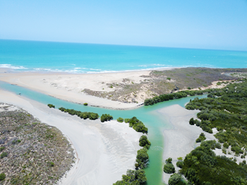 Aerial view of beach/ocean