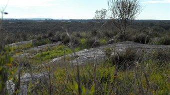 Looking-out-from-a-granite-outcrop-Lake-Pleasant-View-in-Manypeaks