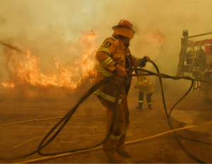 NSW Rural Fire Service Jan 2020