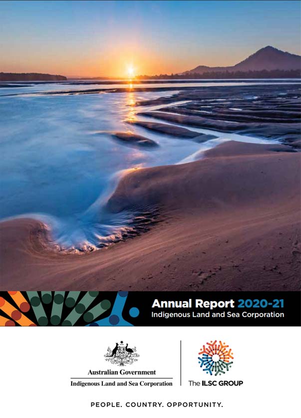 Image of first page of 2020-2021 annual report
