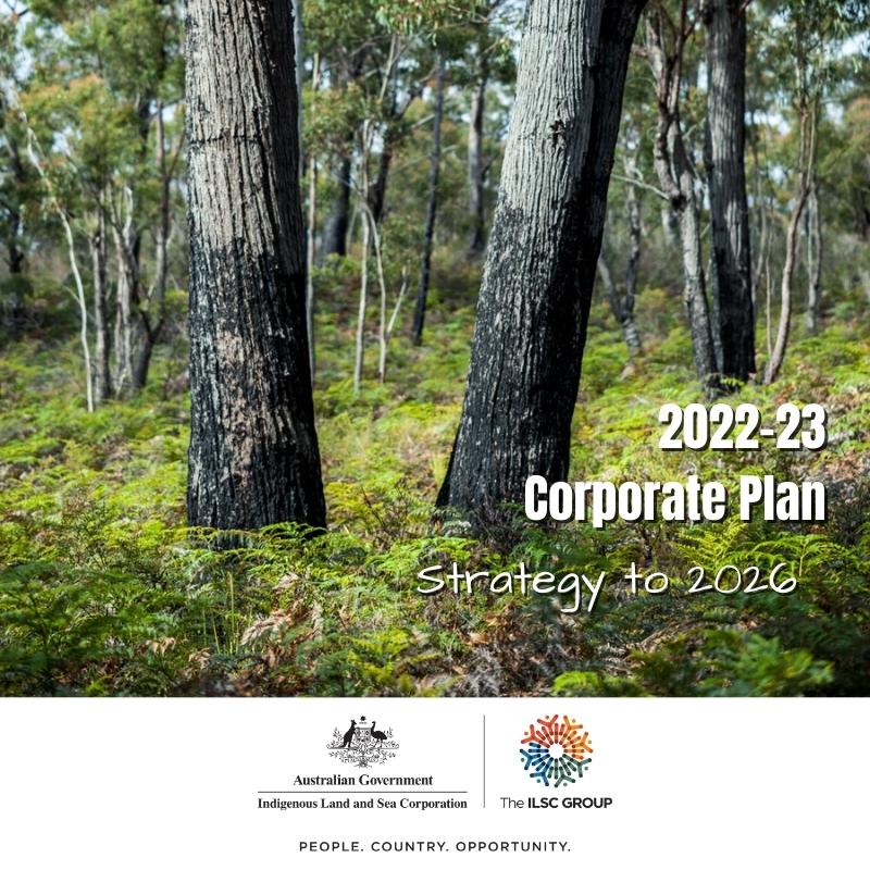 Corporate Plan 2223 Tile (2) (240 × 300px) (800 × 800px)