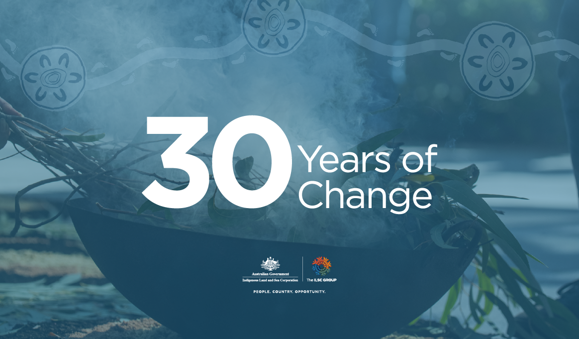 NIAA-30Years-of-Change